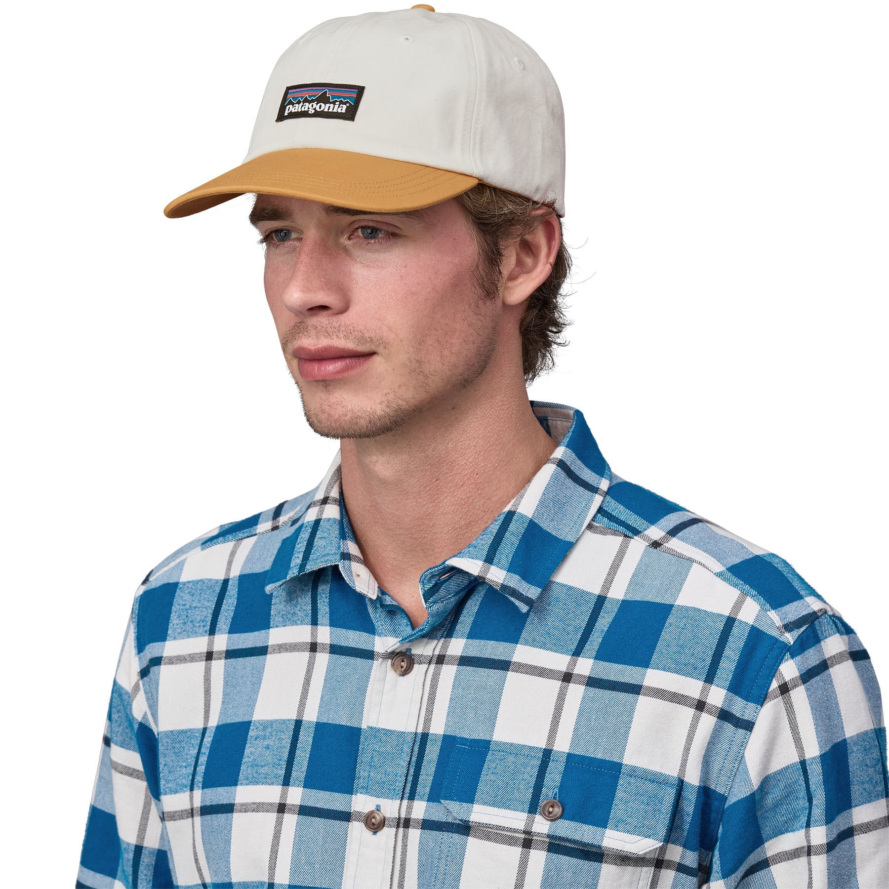 P-6 Label Trad Cap - Image 2